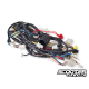 Complete Wiring Harness PGO Bigmax