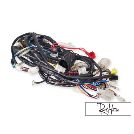 Complete Wiring Harness PGO Bigmax