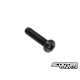 Left / Right Handlebar Switch Upper Screw (Bws/Zuma 2002-2011)