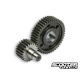 Secondary Gear Kit Malossi 22/45 Piaggio 300cc