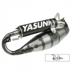 Exhaust System Yasuni C40 Carbon Minarelli Horizontal