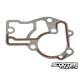 Water Pump Cover Gasket (Zuma 50F 2012+)