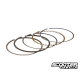 Piston Ring TPR 79cc Piaggio 4T (2V-4V)