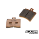 Rear Brake Pads Polini Organic (SR50)