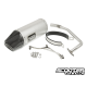 Exhaust PSP Ruckus Fatty (Carbon Tip)