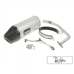 Exhaust PSP Ruckus Fatty (Carbon Tip)