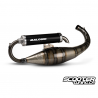 Exhaust system Malossi MHR TEAM 2