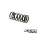 Valve Spring (Honda Ruckus)