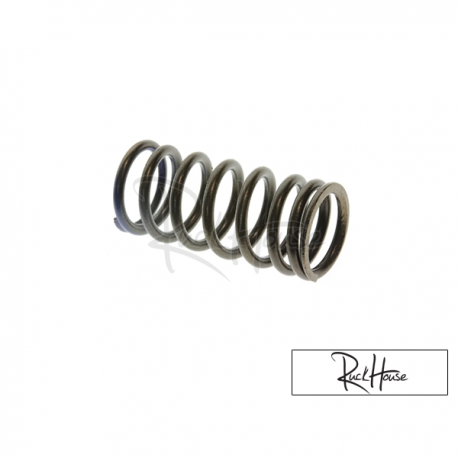 Valve Spring (Honda Ruckus)