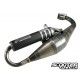 Exhaust system Polini Evolution 2010