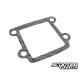 Gasket Motoforce reed valve