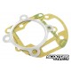 Gasket set Top Performances Trophy/Tpr 70cc