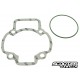 Gasket set Malossi Sport/Replica/Racing 70cc 