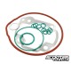 Gasket set Top Performances TPR 70cc LC