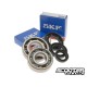 Crankshaft Bearings Motoforce