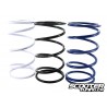 Torque spring Motoforce RACING set of 3