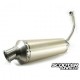 Exhaust Malossi MHR Wild Lion (CBR125R)