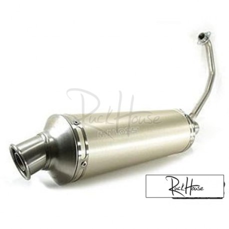 Exhaust Malossi MHR Wild Lion (CBR125R)