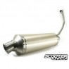 Exhaust Malossi MHR Wild Lion (CBR125R)