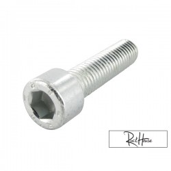 Shock Absorber Top Bolt Motoforce M10x40 (minarelli)