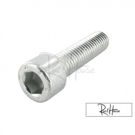 Shock Absorber Bolt Motoforce M10x40 (minarelli)