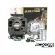 Cylinder kit Malossi SPORT 50cc