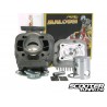 Cylinder kit Malossi SPORT 50cc