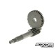 Primary gearing Malossi 15/42 (Minarelli 100cc)