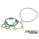 Gasket Malossi Sport 70cc I-Tech (SR50 aprilia)