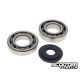 Crankshaft Bearing set Naraku (SH150)