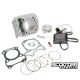 Cylinder kit Malossi I-Tech 185cc (Piaggio 125-150)