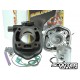 Cylinder kit Malossi SPORT 70cc