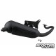 Exhaust Malossi Wild Lion (Piaggio Injection)