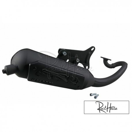 Exhaust Malossi Wild Lion (Piaggio Injection)