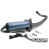 Exhaust Malossi Flip (Piaggio Injection)