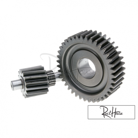 Secondary Gear Polini 15/39 (SH150)