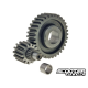 Secondary Gear Airsal 14/33 (SH150)