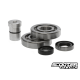 Crankshaft Bearing set with seal Taida