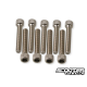 Engine Case Screw Titanium (PGO-Genuine)