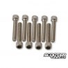 Engine Case Screw Titanium (PGO-Genuine)