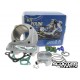 Cylinder kit Polini Sport 80cc GY6 50cc 139QMB/QMA