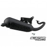 Exhaust Malossi Wild Lion Minarelli Horizontal LC